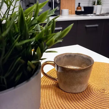 Ap To You * Budapeste